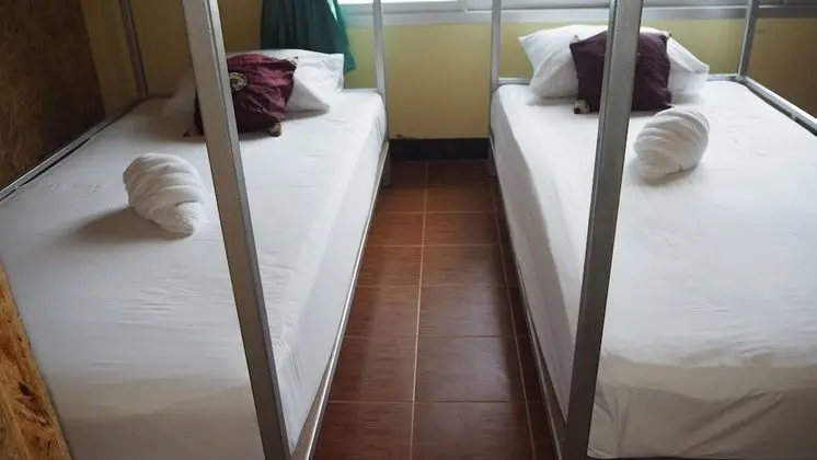 Bed in 6  Bed Female Dormitory room