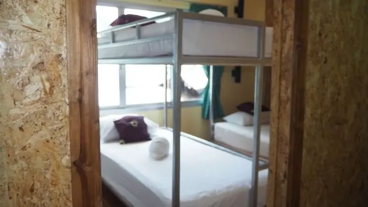 Bed in 6  Bed Female Dormitory room