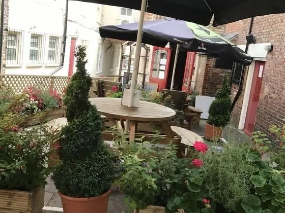 Superior Tek Büyük Yataklı Oda, Banyolu/Duşlu