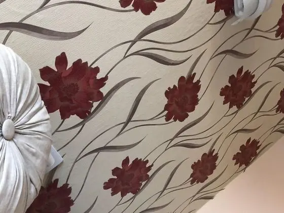 Superior Tek Büyük Yataklı Oda, Banyolu/Duşlu
