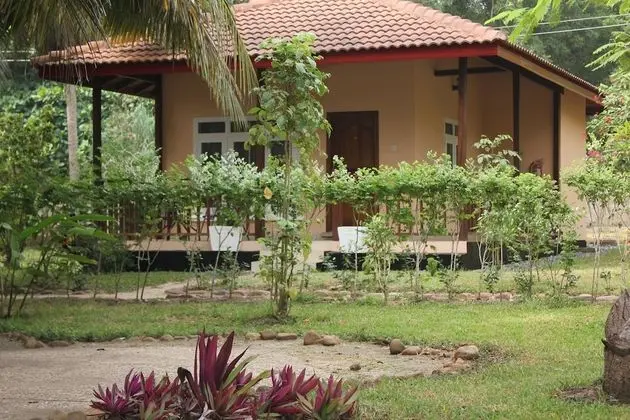 Royal Oda, Balkon, Okyanus Manzaralı