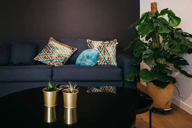 Luxury Çatı Katı (Loft)
