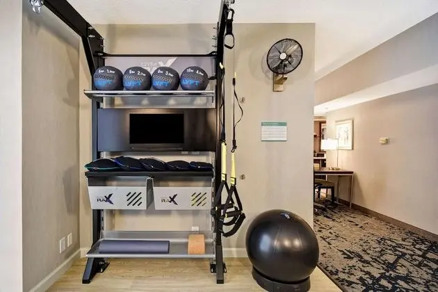 Süit, 1 En Büyük (King) Boy Yatak (Fitness Suite W/ Trx - Chin Up Bar)