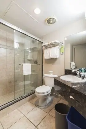 Çatı Katı (Loft)