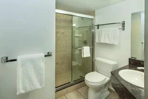 Çatı Katı (Loft)