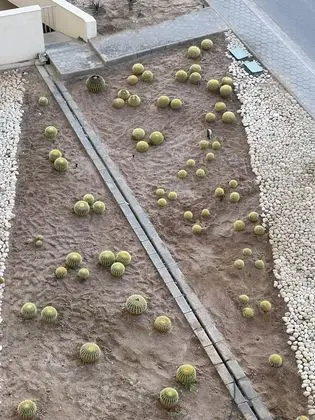 Apart Daire, Birden Çok Yatak