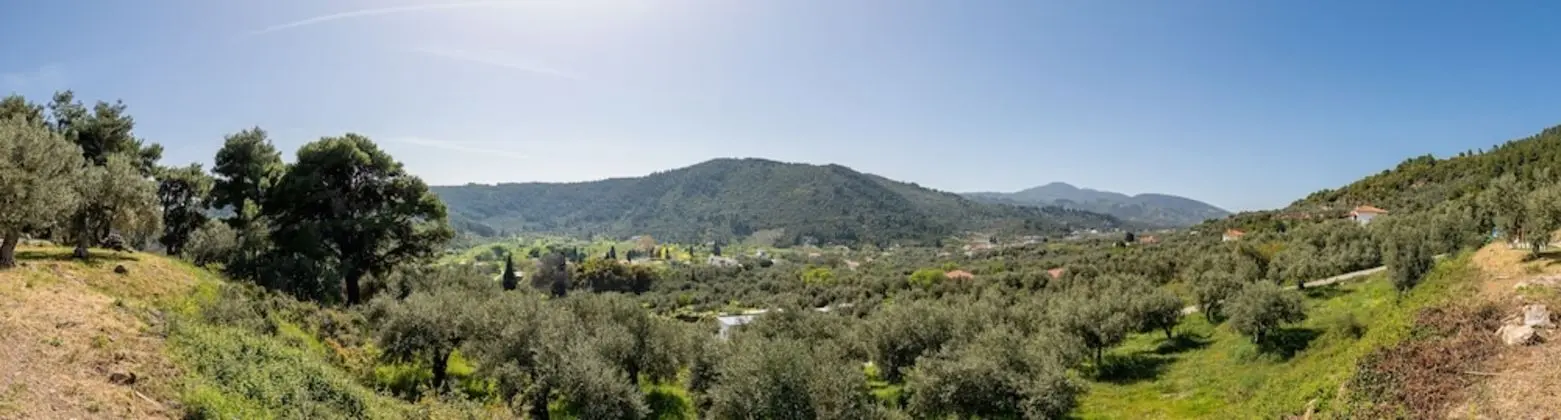 Ev, Birden Çok Yatak