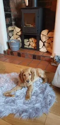Kır Evi, 2 Büyük (Queen) Boy Yatak