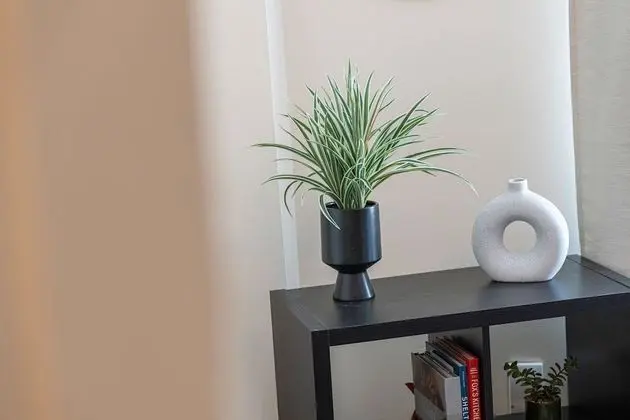 Apart Daire, Özel Banyo, Şehir Manzaralı