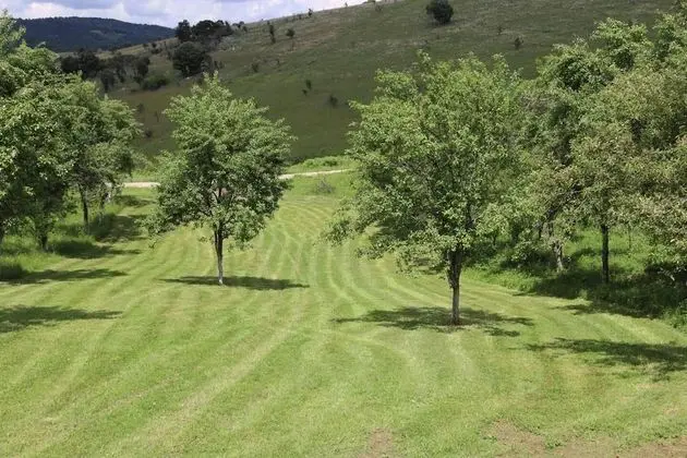 Kır Evi, 2 Büyük (Queen) Boy Yatak