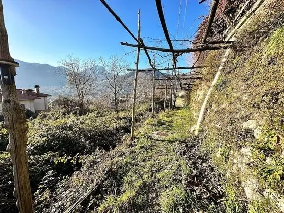 Apart Daire, Birden Çok Yatak
