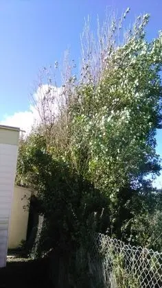 Ev, Birden Çok Yatak
