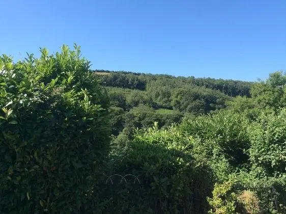 Kır Evi, Birden Çok Yatak