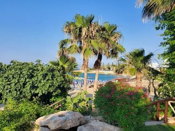 Villa, Birden Çok Yatak