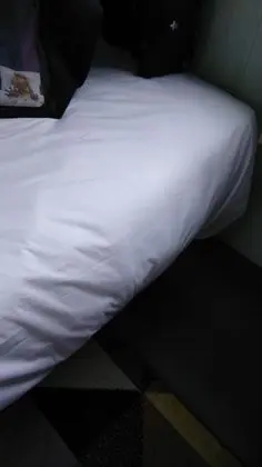 Ev, Birden Çok Yatak