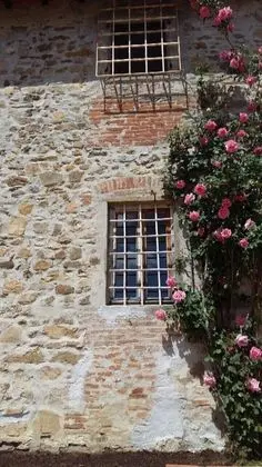 Kır Evi, 1 Büyük (Queen) Boy Yatak ve Çekyat