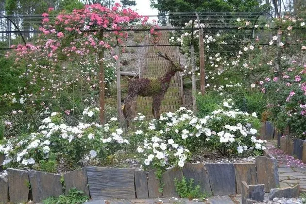 Kır Evi, Birden Çok Yatak