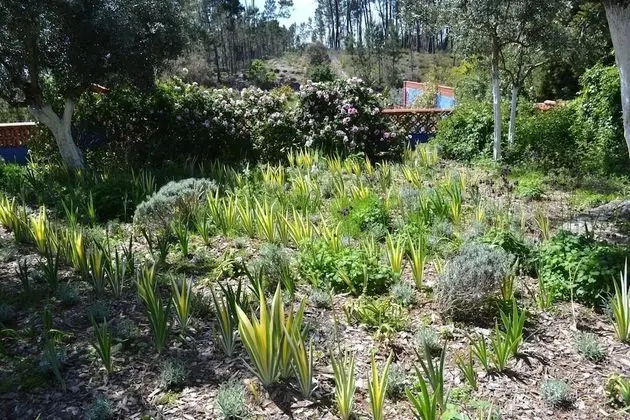Kır Evi, Birden Çok Yatak