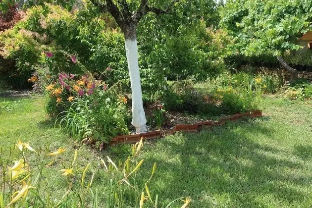 Kır Evi, Birden Çok Yatak