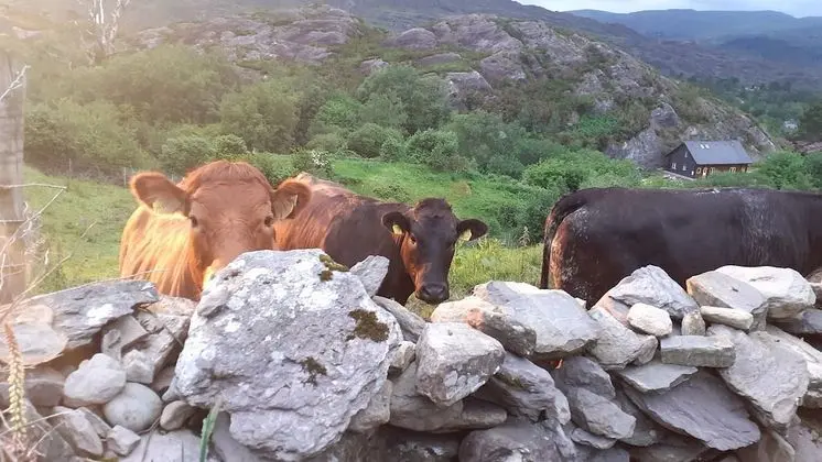 Ev, Birden Çok Yatak