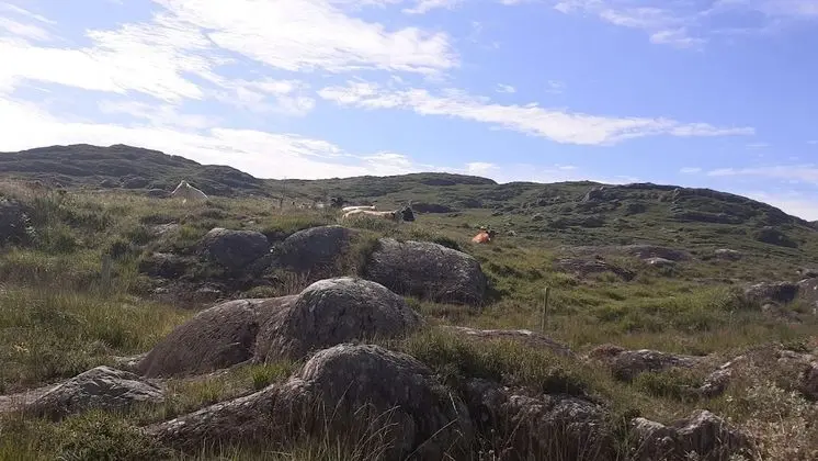 Ev, Birden Çok Yatak
