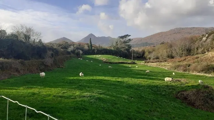 Ev, Birden Çok Yatak