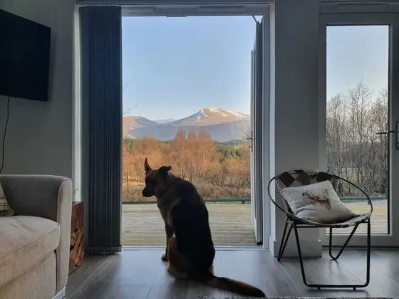 Villa, Birden Çok Yatak