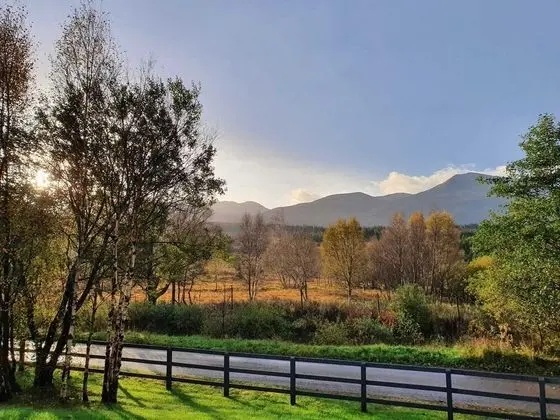 Villa, Birden Çok Yatak