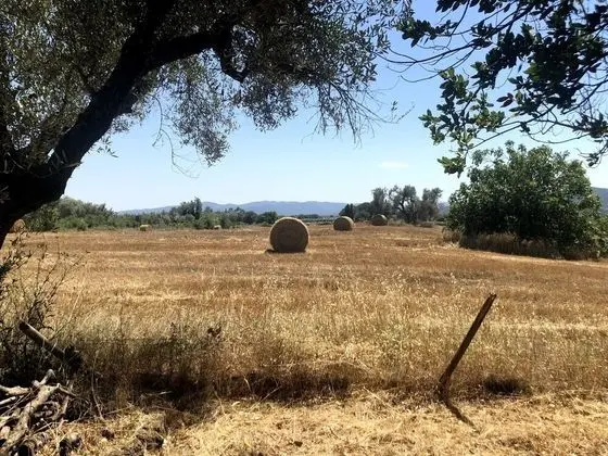 Villa, Birden Çok Yatak