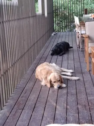 Kır Evi, Birden Çok Yatak