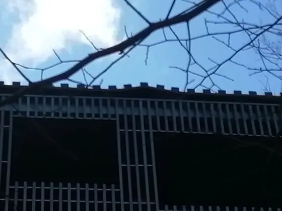 Kır Evi, Birden Çok Yatak