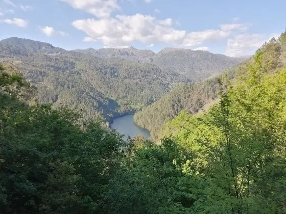 Kır Evi, Birden Çok Yatak