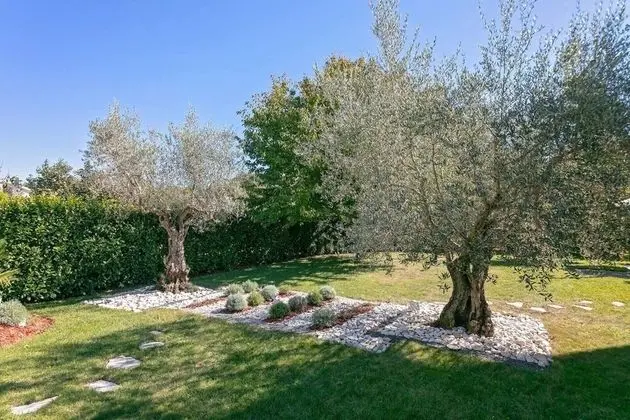 Villa, Birden Çok Yatak