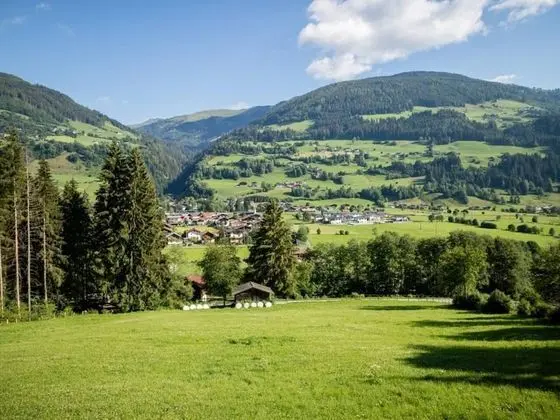 Kır Evi, Birden Çok Yatak