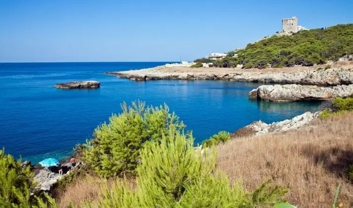 Ev, 1 Büyük (Queen) Boy Yatak