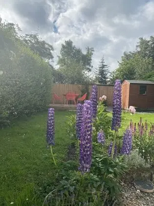Kır Evi, Birden Çok Yatak