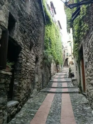 Apart Daire, 1 Büyük (Queen) Boy Yatak