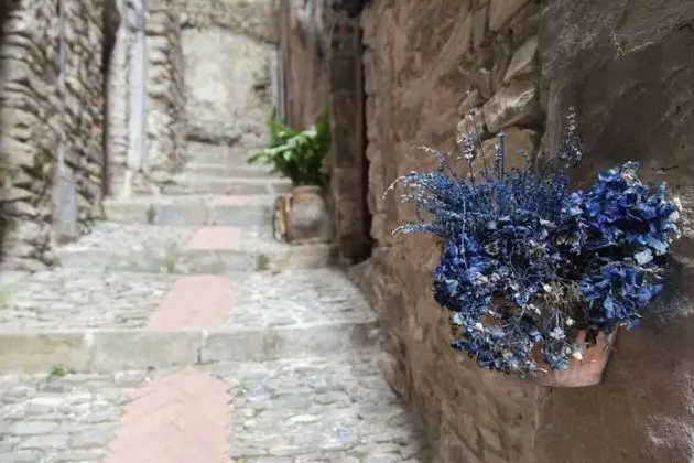 Apart Daire, 1 Büyük (Queen) Boy Yatak