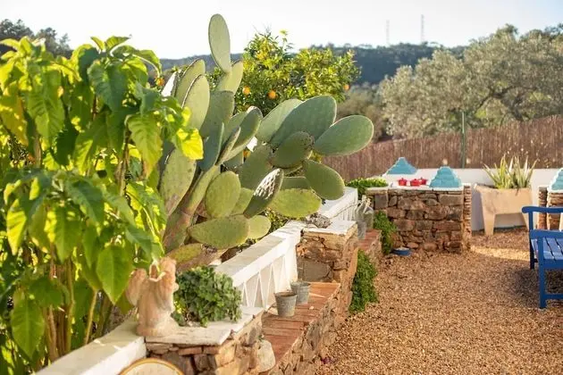 Ev, 2 Yatak Odası, Şömine