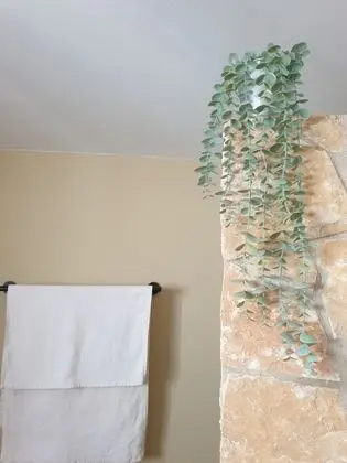 Ev, 2 Yatak Odası, Şömine