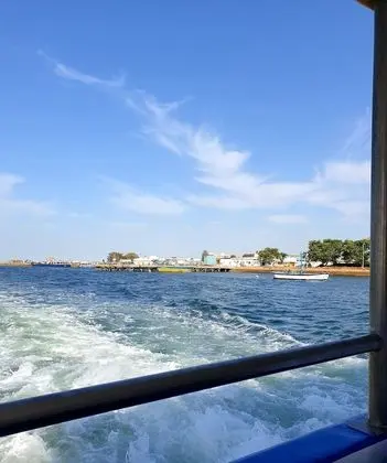 Ev, 2 Yatak Odası, Şömine