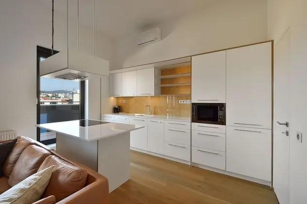 Çatı Katı Süiti (Penthouse), 1 Yatak Odası