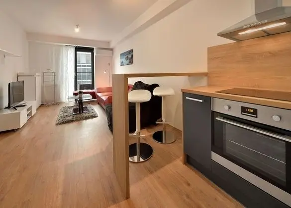 Deluxe Apart Daire, 1 Yatak Odası (Suche Myto)