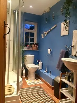 Ev