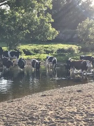 Kır Evi, 1 En Büyük (King) Boy Yatak