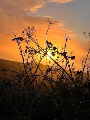 Kır Evi, 1 En Büyük (King) Boy Yatak