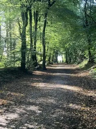 Kır Evi, 1 En Büyük (King) Boy Yatak