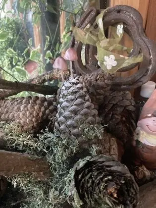 Kır Evi, 1 En Büyük (King) Boy Yatak