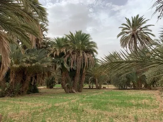 Oda, Engellilere Uygun, Şömine
