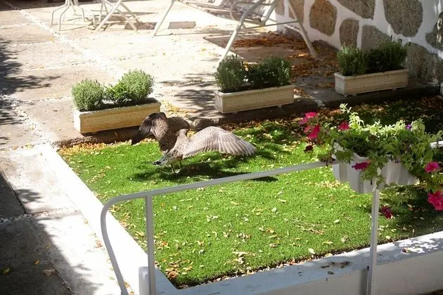 Süit, 2 Yatak Odası, Balkon